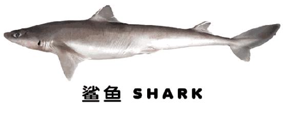 有人告诉你孕期不能吃什么,孕期到底要不要吃虾