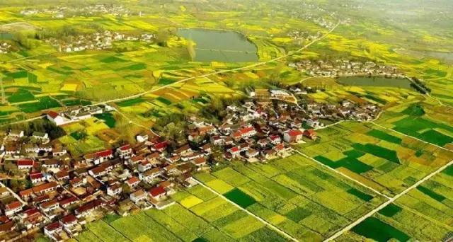 2018汉中油菜花旅游攻略,2024汉中油菜花自驾游攻略