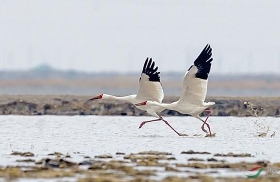 你只是一个人，因为你不会这些“撩妹”神技能