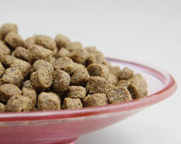 都说情人节吃狗粮，但是你知道狗粮到底什么味么？亲测体验！