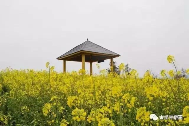 虐狗秀恩爱名场面,虐狗秀恩爱高甜视频