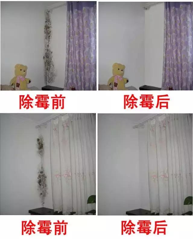 墙壁发霉发黑该怎么处理,墙壁黑色发霉怎么办