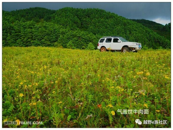 贺岁心得，我和帕拉丁，不得不说的故事！