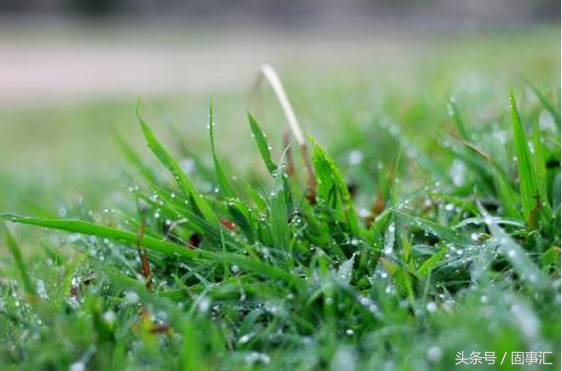 科帕奇自驾西藏,科帕奇自驾游脱困视频