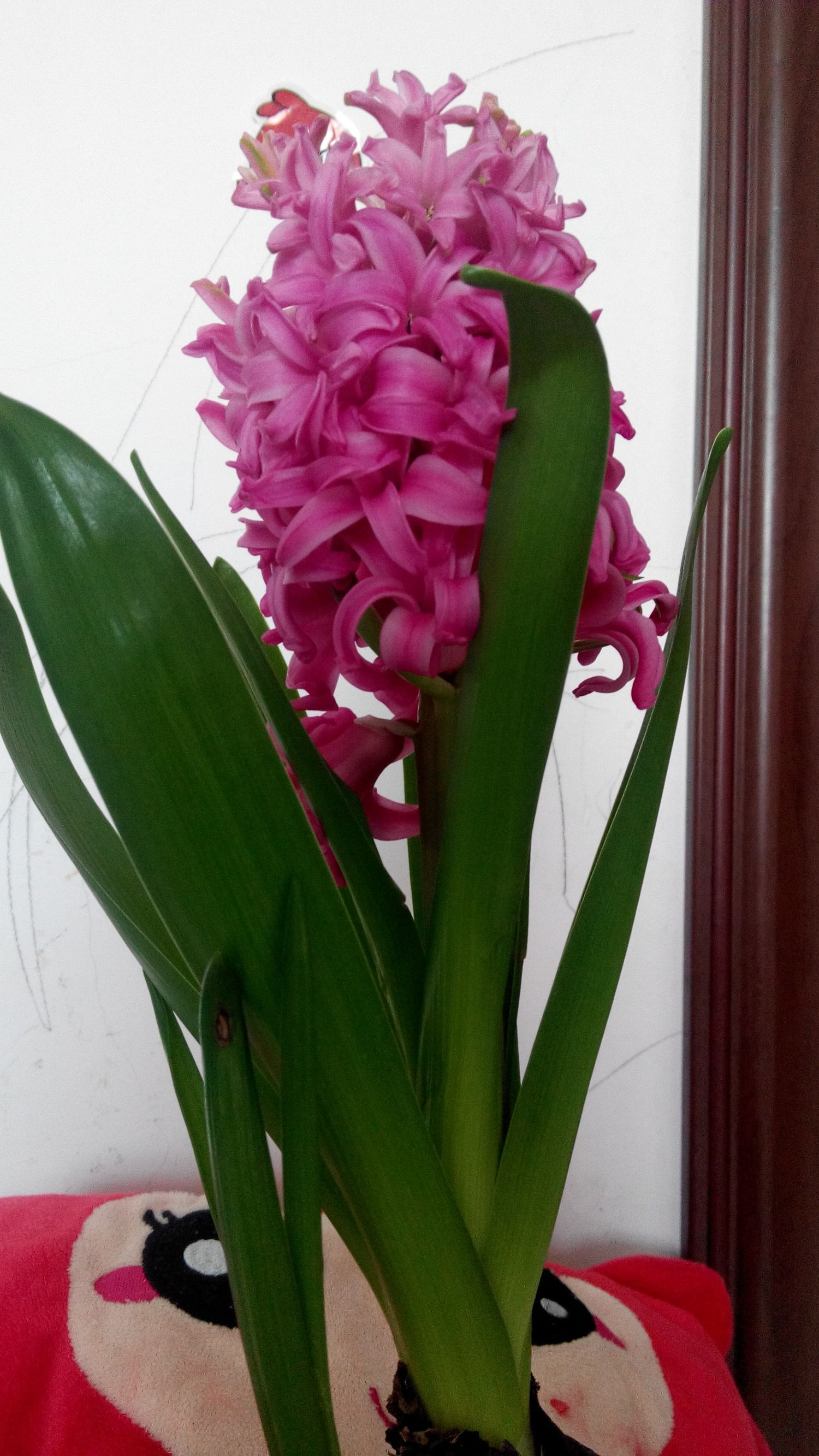 红米最经典的手机,曾经烂大街的手机红米1s