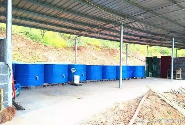 目前最好的养殖土鸡方法,土鸡养殖基础有哪些