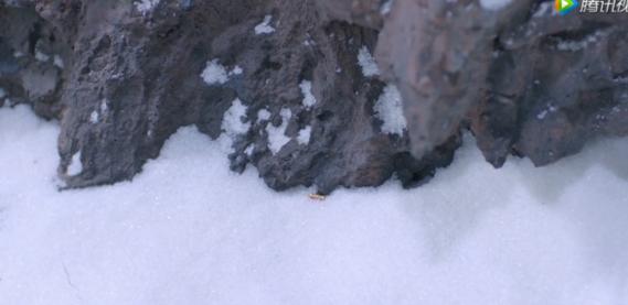 电影中带有雪景的场面怎么拍的,电影中的雪是如何拍摄的
