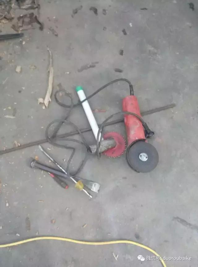 春天的多肉带给枯木新的生机，于是它们相爱了！