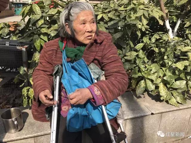 看到捡垃圾吃的老人要报警吗,吃树叶的老太太