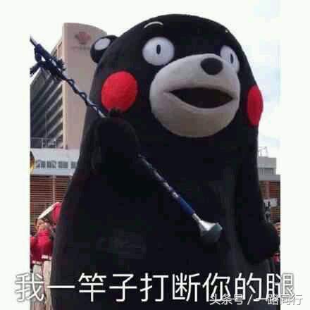 旅游如何做到互相尊重,旅游被区别对待