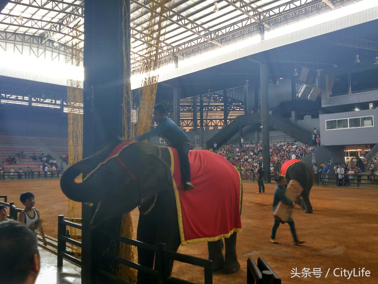 泰国芭堤雅东芭乐园,泰国芭提雅东芭公园
