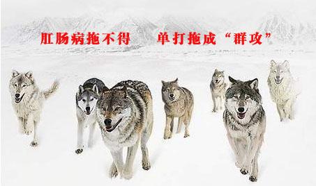 肛肠疾病拖着不治会有什么后果,山西惠民肛肠病研究院怎么样