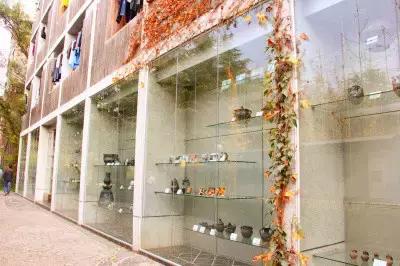 有所大学，叫标榜！逆天颜值碾压成都各大高校！