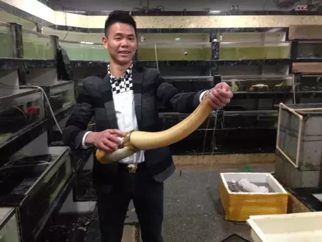 长沙人爱养什么品种的鸟,长沙人为什么喜欢养乌龟