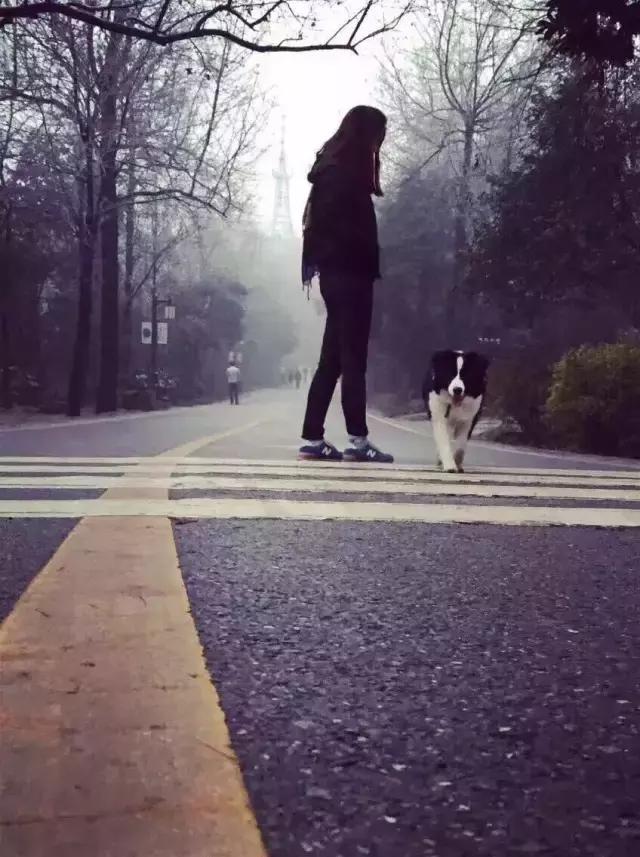 长沙人爱养什么品种的鸟,长沙人为什么喜欢养乌龟