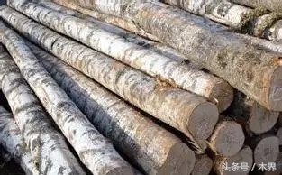 木材的湿胀干缩有什么危害,木材是湿胀干缩吗