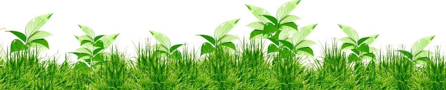 氰化物中毒是什么原理,氰化物中毒的原理