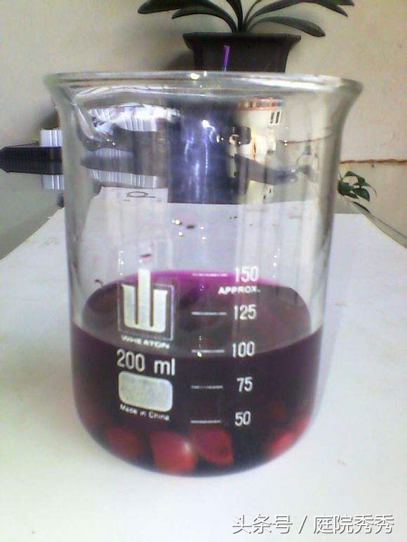 高锰酸钾消毒对植物有害吗,怎样用高锰酸钾给植物消毒