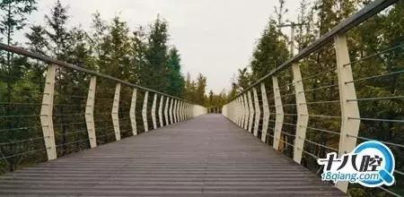 义乌这下要在全世界出名了！