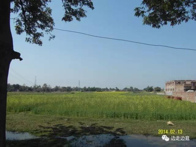 印度看病大师,印度医生看病视频