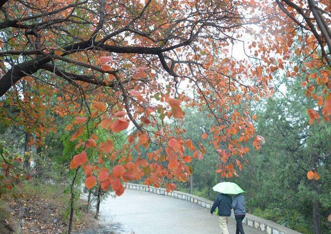 济南有什么好玩的景点啊,济南附近好玩的地方景点免费