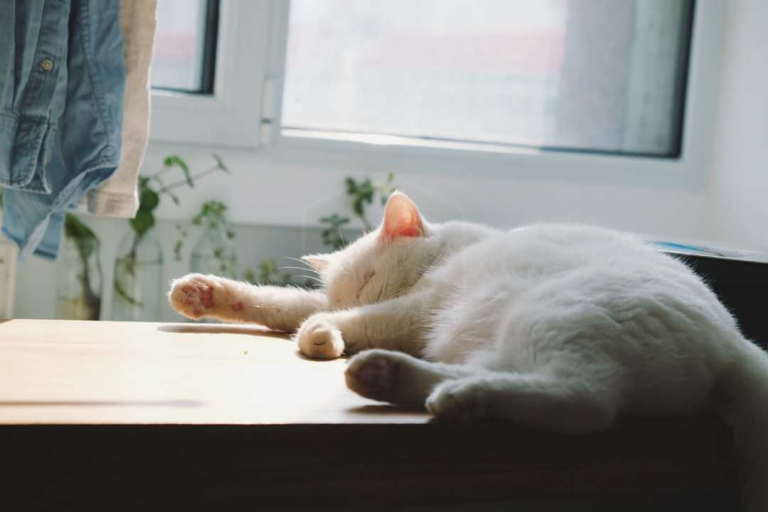 宜家的厨房橱柜质量怎么样,宜家厨房怎么样