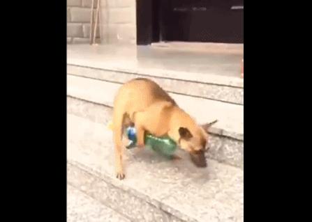 诶哟喂！有点搞笑的嘛！（1）