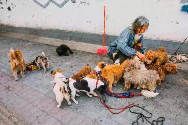 西乡县各乡镇的故事,西乡有什么故事