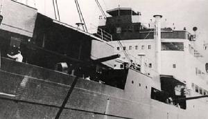 打开潘多拉的魔盒视频,打开潘多拉的盒子港剧