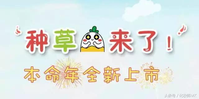 不超过200元的口红,朴信惠带火口红