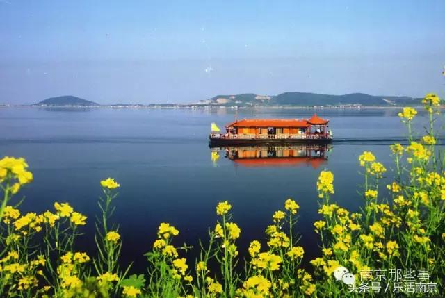 南京踏青赏梅乐享春光,赏梅园