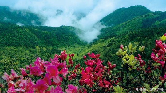 叶圣陶记金华双龙洞的资料,记金华的双龙洞课堂笔记