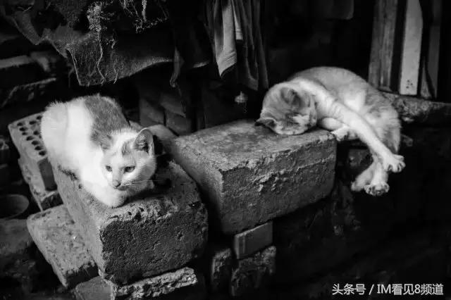 朱行老街乘风破浪,朱行老照片