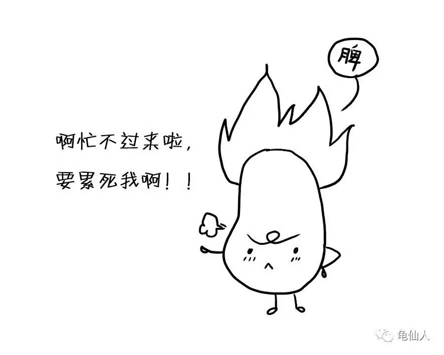 一天八杯水是对的吗,一天八杯水你喝了吗