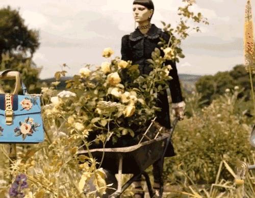 为什么中国女人喜欢美国男人,为什么中国女人那么喜欢韩国人