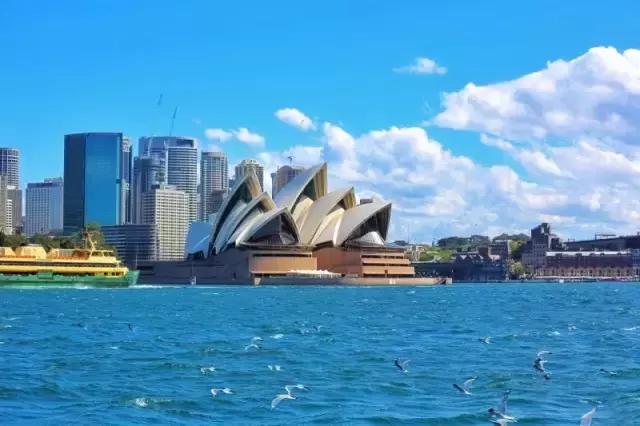 尖叫吧原版视频,尖叫吧视频完整版