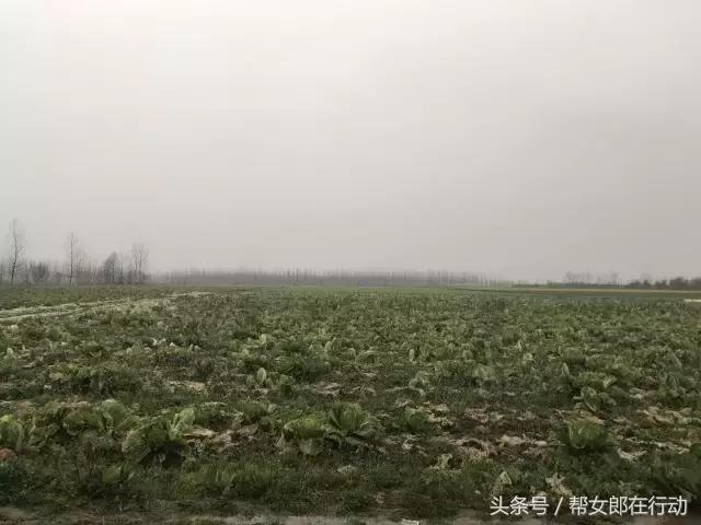 大学生返乡创业愁销路,大学生返乡创业帮农民致富增收