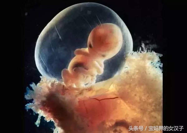 生产前或生产时宫内感染的危害到底有多大？