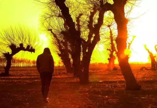 内蒙古通辽市奈曼旗沙漠旅游景点,内蒙古通辽沙漠旅游景点