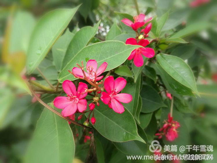 永远的余子店——文/刘宏冰