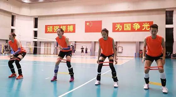 足球篮球看外国，排球看中国｜排球全明星首发亮相