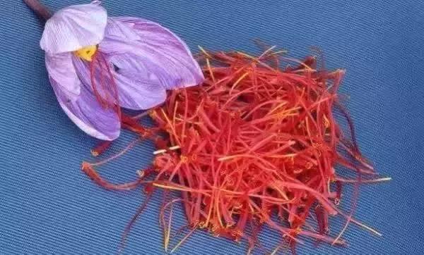 刘虎岐:想要种中草药赚钱,你先得了解它们!