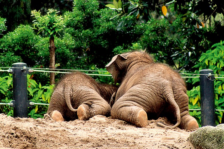西双版纳从下飞机开始的攻略,进入西双版纳的视频