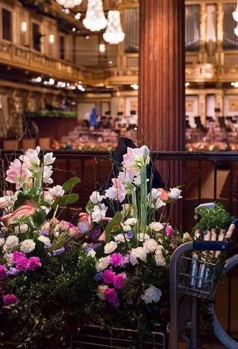 学废了的那么多乐器，其实是你家最好的装饰