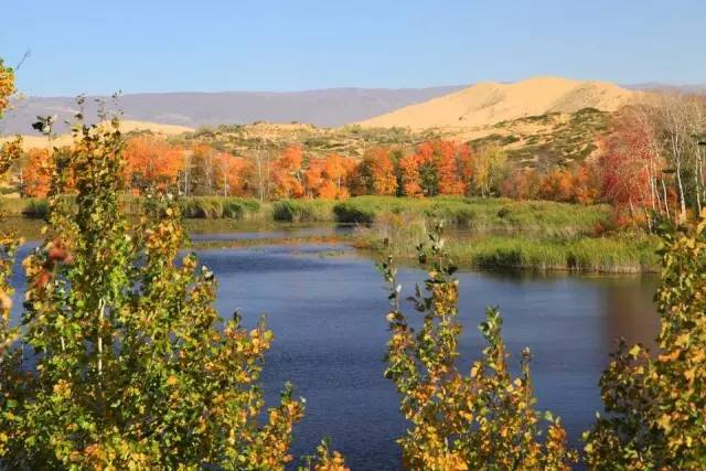 官宣全部免费455家景区名单公布,官宣又一批景区免费打折清单来了