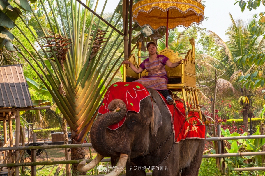 人生必须经历一次孤独的旅行,人生一定要去一次版纳