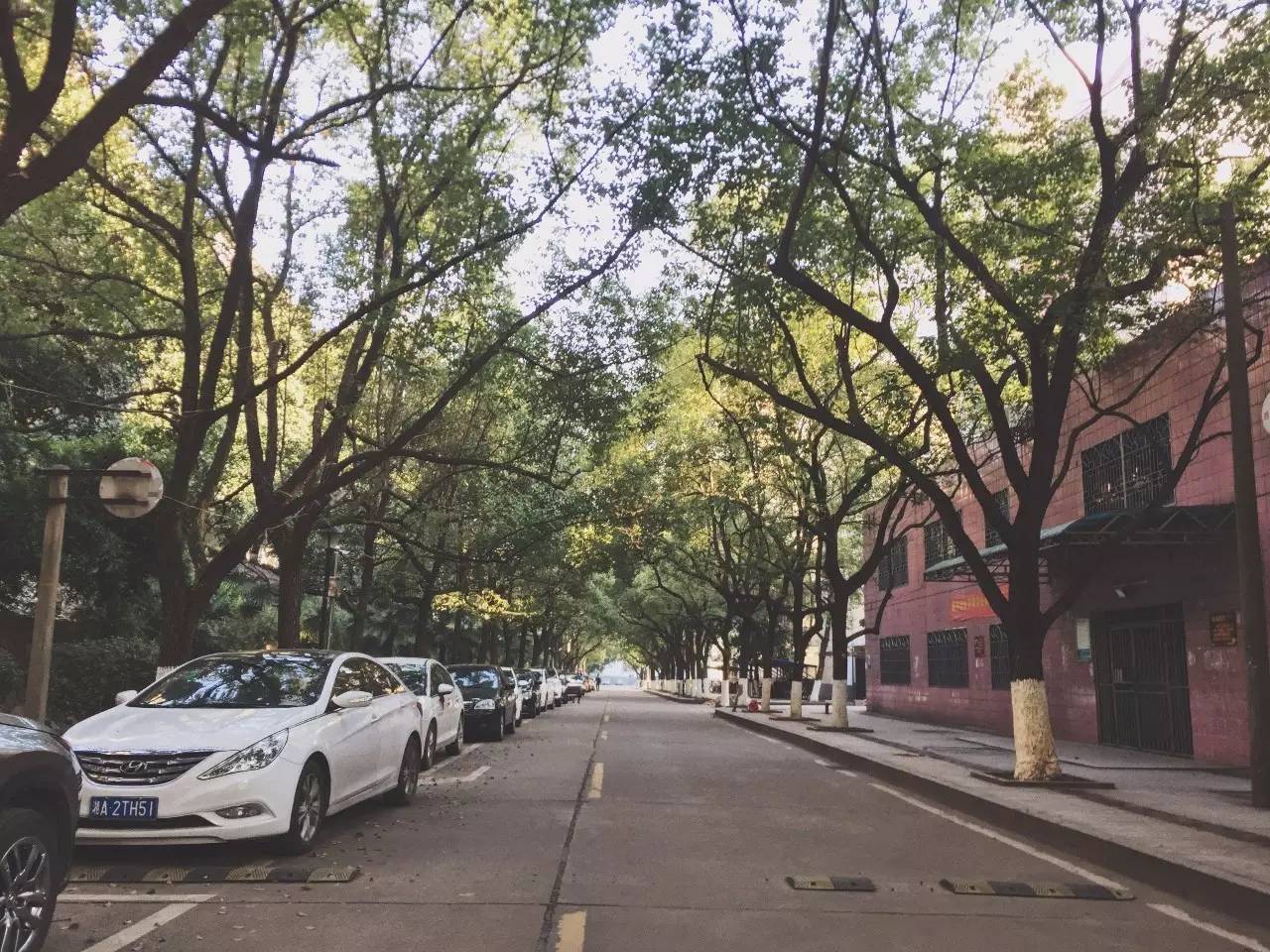 寒假提前回到林科大是怎样一种体验？