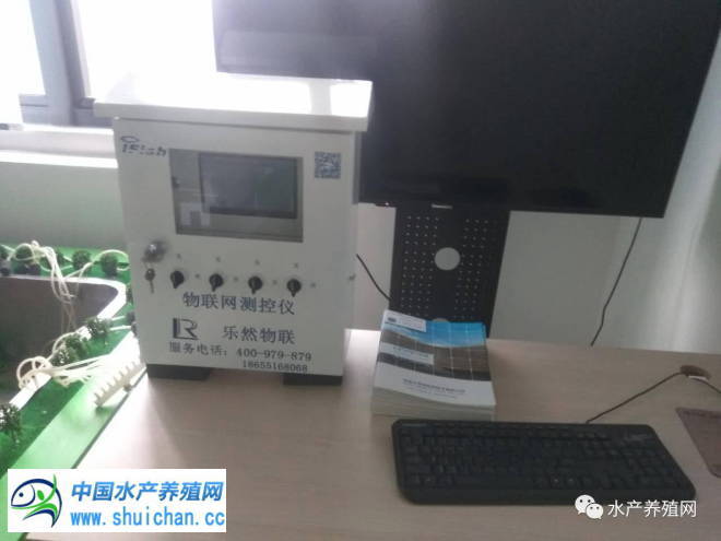 十亩鱼塘如何养出20亩的鱼,10亩鱼池养多少鱼苗