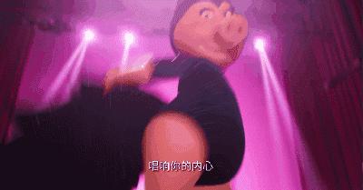 动物好声音所有歌曲,动物好声音