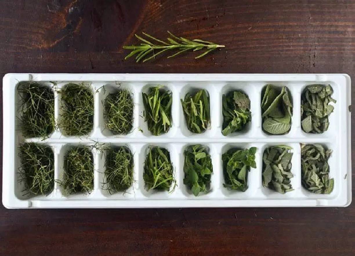 原来香草橄榄油还可以这样玩！